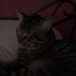 Meet your Posher, Ricky